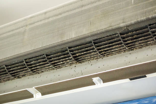 Best Air Vent Cleaning Services  in Hartington, NE