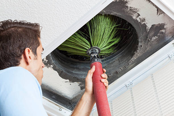 Best Dryer Vent Cleaning Services  in Hartington, NE