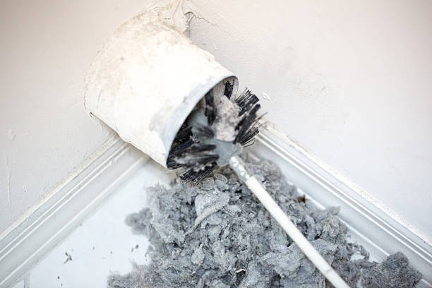 Best Professional Duct Cleaning Services  in Hartington, NE